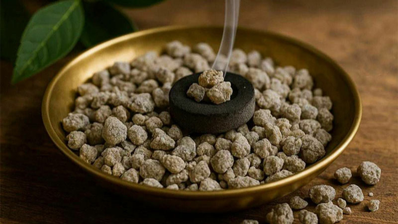 Benzoin: Slatka tajna drevnih smola koja miriše na mir i vaniliju