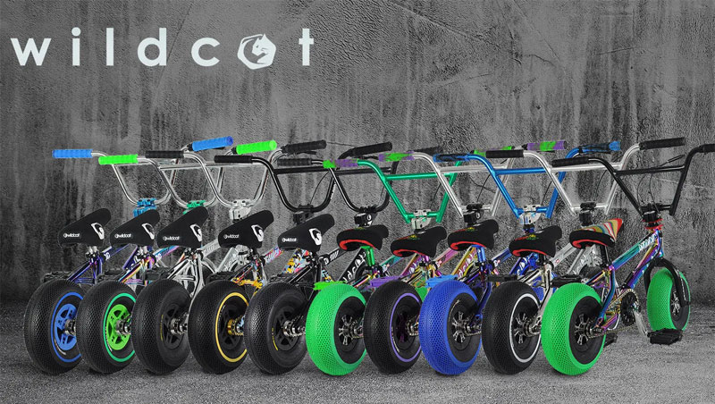 Wildcat Mini BMX