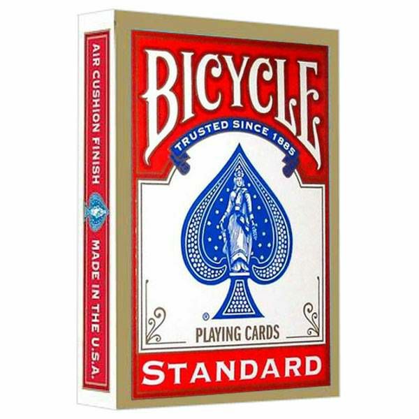 Bicycle Rider Back Standard Red
