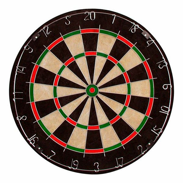 Bristle Dartboard