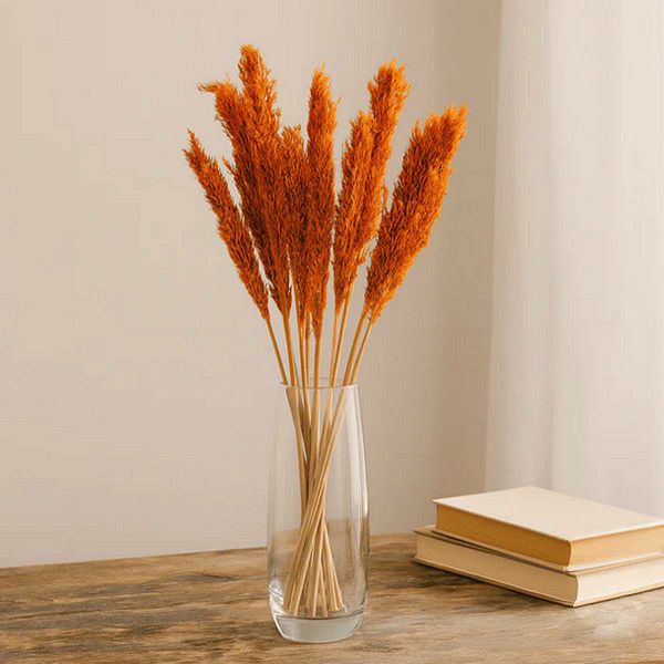 Cantal Grass Bunch - Orange x6