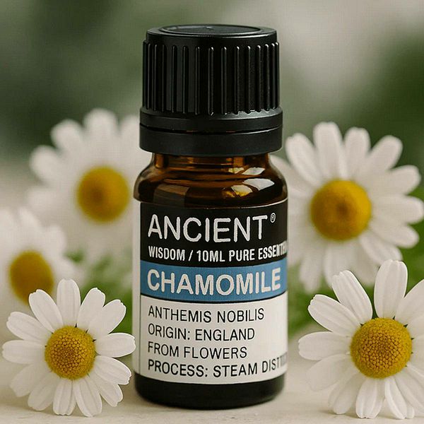 Eterično ulje Chamomile Roman (Pure) 10 ml