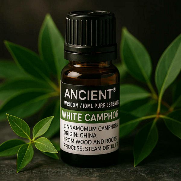 Eterično ulje White Camphor 10 ml