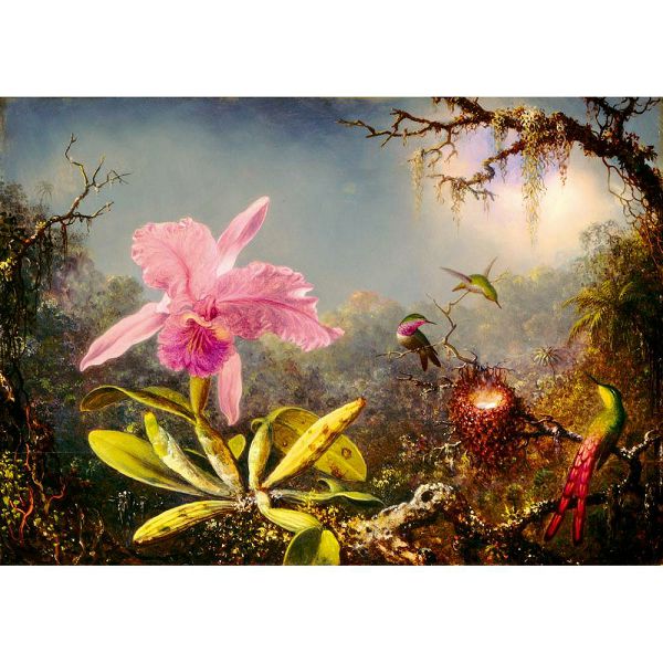 Martin Johnson Heade Cattleya Orchid and Three Hummingbirds 1871 