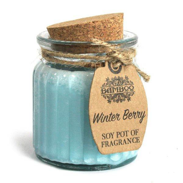 Mirisna svijeća Winter Berry 60 g