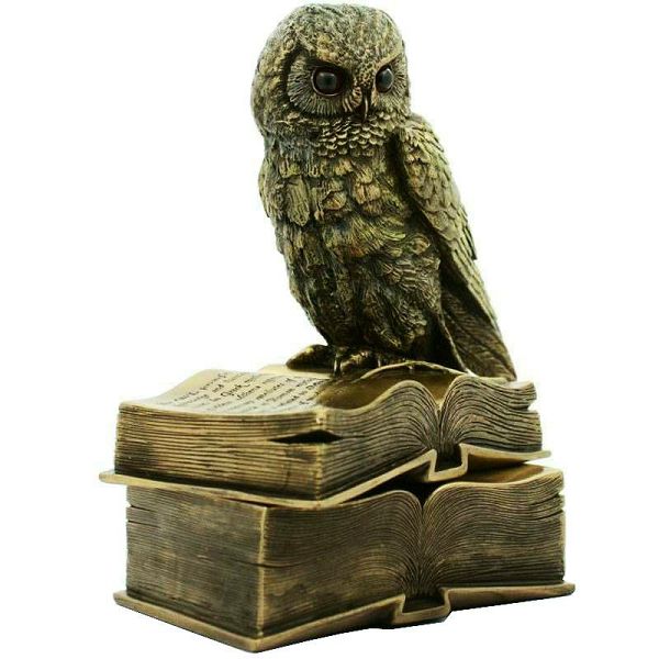 Owl & Box 17 cm