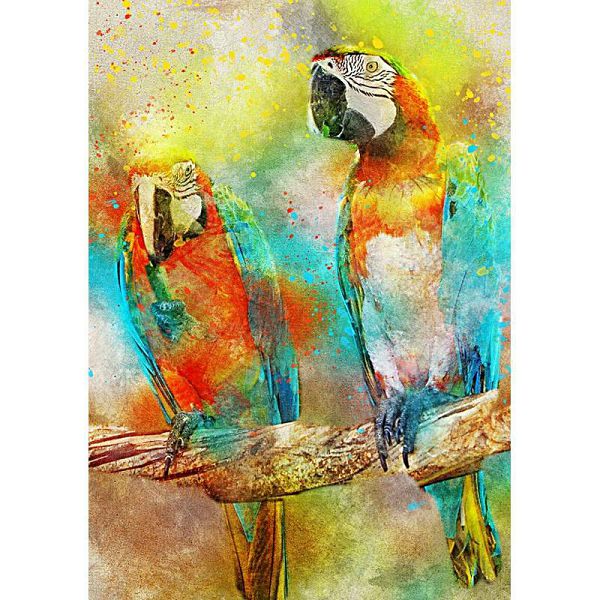 Puzzle Parrots