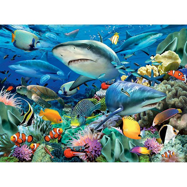 Puzzle Reef of the Sharks