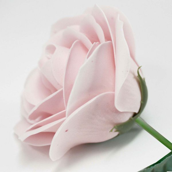 Ruža od sapuna Pink