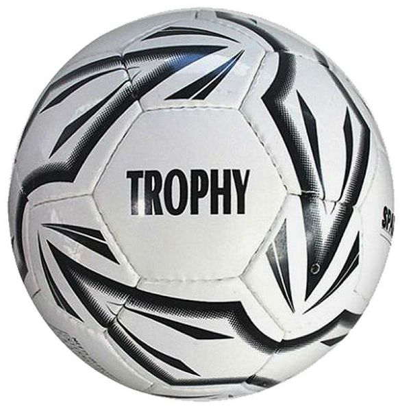 Trophy training ball 4