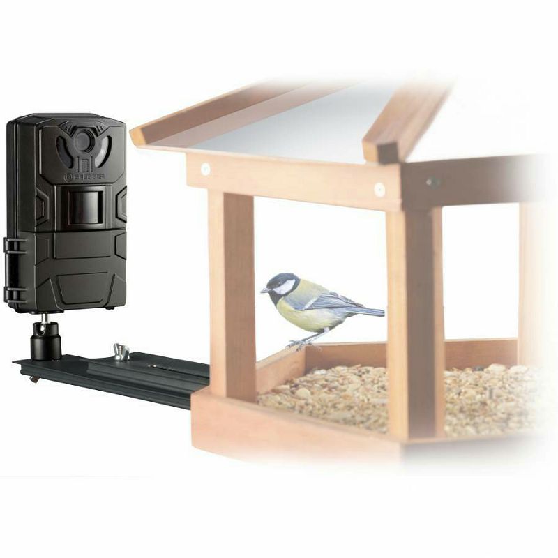 Bird/Small Animal-Camera SFC-1