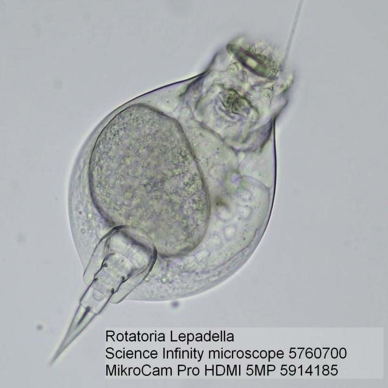 Mikroskop Bresser Science Infinity