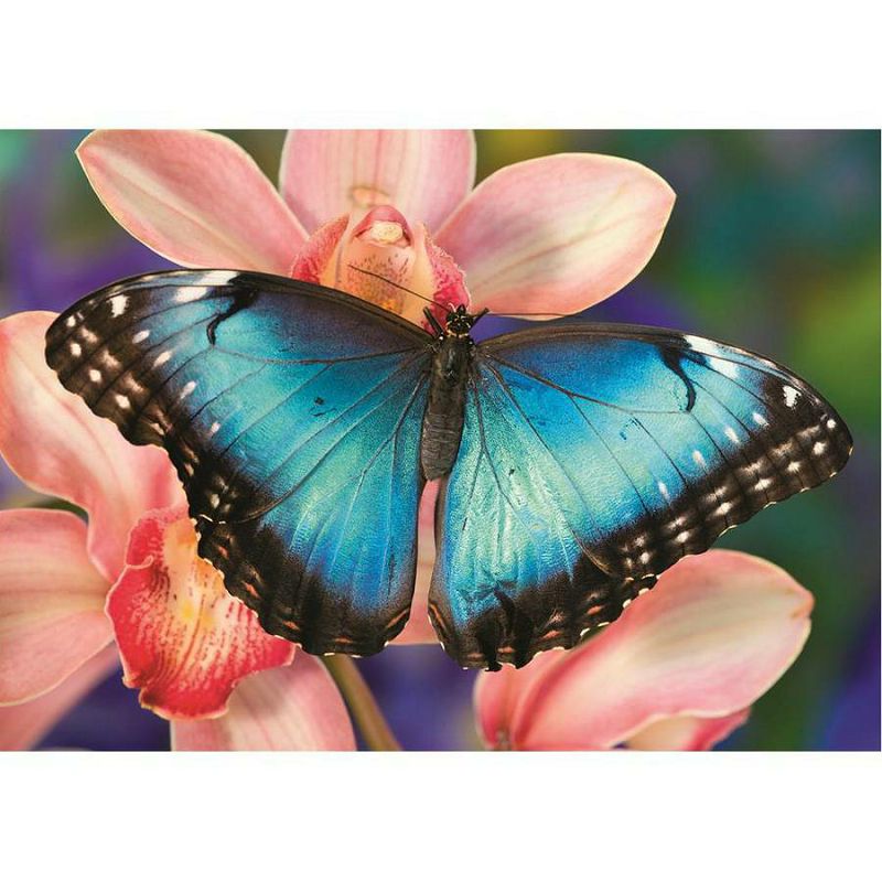 Puzzle Butterfly