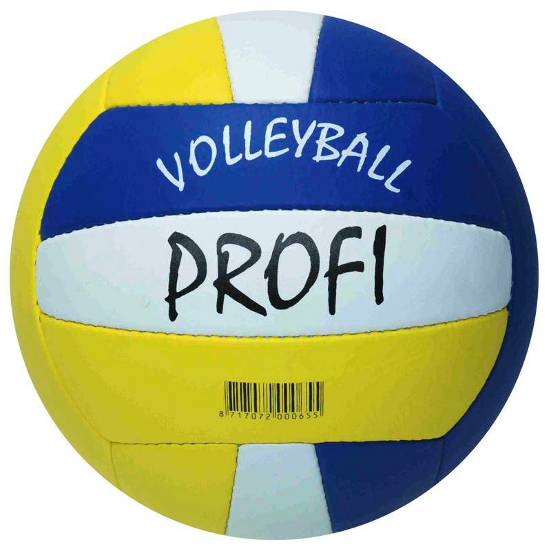 Volleyball Beach Profi