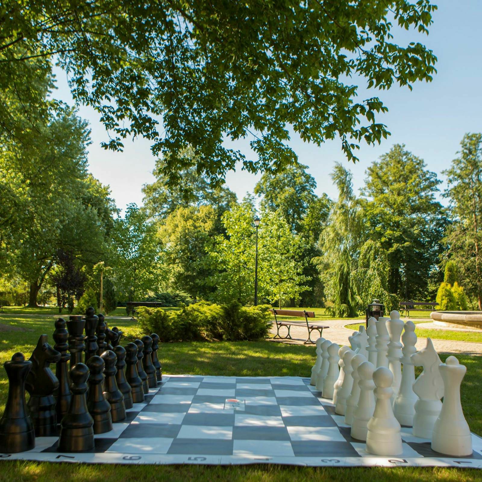 Vrtne šahovske figure Giant